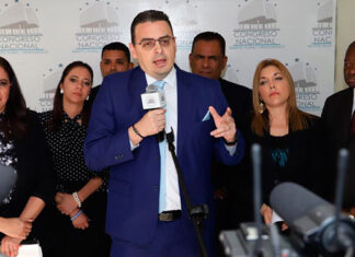 Bajo el Emblema que la «Democracia No esta en Cuarentena» CNE entregara Plan Estratégico Institucional al Instituto Holandés.