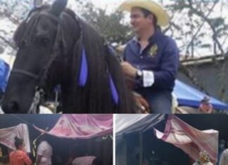 Hasta el Caballo de Mario Perez recibe mejor atención que los enfermos de COVID 19 en Santa Barbara.
