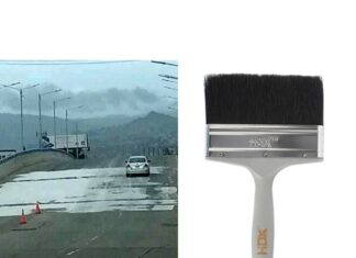 La Oposición de Brocha.