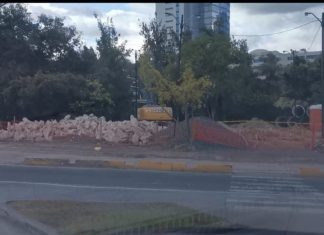 Por influencias políticas habrían otorgado área verde en el boulevard Suyapa.