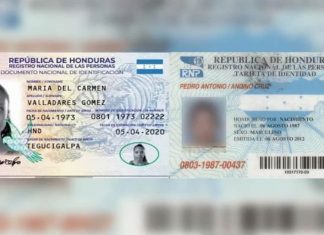 RNP asegura que ya tiene reservado el transporte aéreo para traer las cédulas de identidad.