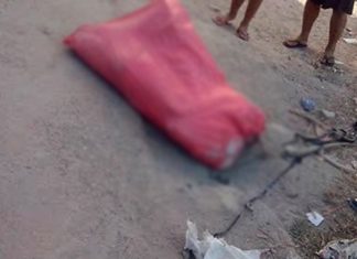 «Grandes» lideres políticos pasan desapercibido terrible ola criminal que azota del país.