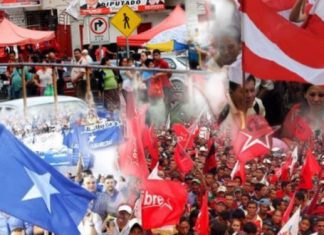 CNE llama a partidos a buscar alianzas en tiempo y forma.