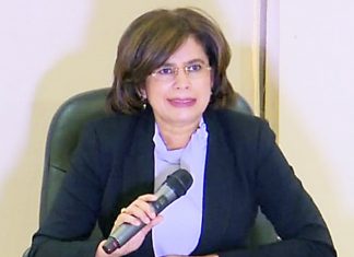 Opción B es inviable y absurdo :CNE