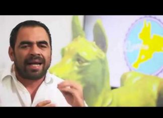 Perro Amarillo inscribe su candidatura Presidencial independiente ante el CNE.