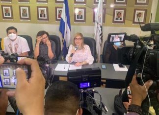 Según Ana Paola Hall su periodo en la presidencia del CNE fue «duro y complejo»