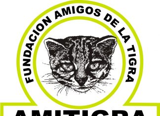 Congreso Nacional aprueba iniciativa de David Chavez de asignar 11.5 millones de lempiras a Amitigra que serán canalizados por la AMDC.