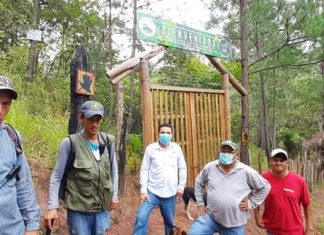 Vice alcalde electo del MDC Carlenton Davila realiza labores de forestación en «Cerro Triquilapa»