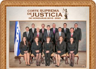 «Próximo Congreso debe someter a juicio político a los Magistrados de la Corte por traicionar la patria»: Nelson Avila.