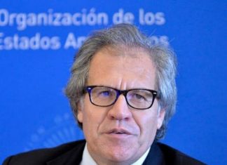 Secretario de la OEA felicita a la presidenta electa Xiomara Castro