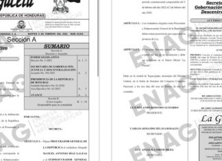 La Gaceta publica el nombramiento de Procurador y sub procurador de la Republica