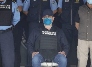 Jari Dixon advierte que JOH va quemar a todos sus socios políticos y empresariales.