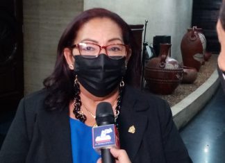 No respetaron la ley al nombrar un delegado del transporte en Choluteca que no reune los requisitos : Diputada Belinda Pavon