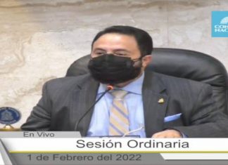Al pueblo hondureño hay que consultarle por temas de pais y no por diputados,alcaldes y presidente de la Republica :Luis Redondo