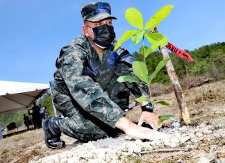 Tras resolución judicial, FFAA tendrán que rendir cuentas de cuatro mil millones de lempiras que les asignaron para reactivar el agro.