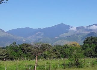 Incluyen a Sierra de Agalta en masivo plan de reforestación