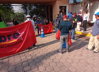 Indignados de LIBRE siguen persiguiendo «mapaches y «pichetes»