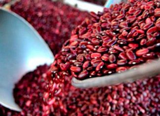 IHMA: Reserva del frijol es de 22,000 quintales