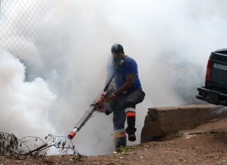 Alarmante, Gobierno ha descuidado proceso de fumigación contra el Dengue, casos se disparan en zona norte del país.
