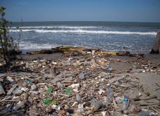 Algo es algo: Proyectan reducir en un 40% la basura chapina que invade a Omoa