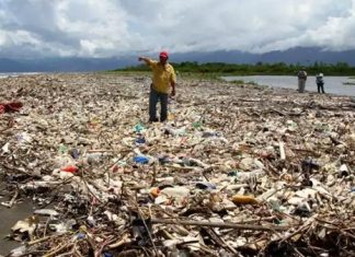 Tragedia ambiental: Omoa sigue siendo el basurero de Guatemala
