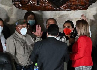 Nuevo distractor, desempolvan nuevamente el tema de la Constituyente.