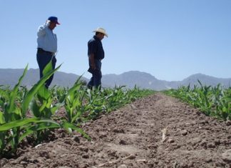 Hay que acostumbrarse «a una canasta básica cara», según productores