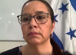 Al CNE: Solicitan nombrar a esposa de JOH como diputada suplente en Parlacen
