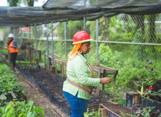 ONGs de ambiente y derechos humanos destacan responsabilidad ambiental de Inversiones Los Pinares en Tocoa