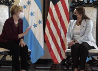 Silencio total ante los señalamientos de la embajadora Dogu sobre la corrupcion en Honduras.