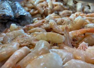 ANDAH: $222 millones en divisas genera exportación de camarón