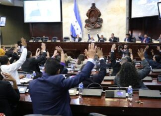 Denuncian que el CN «adolece de un sólido liderazgo»