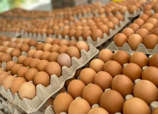No hay razón para que el cartón de huevo esté a L 140, dice gobierno