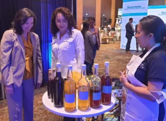 Con una inversión de US$17 millones, concluye un programa de producción cafetera para minimizar la emigración