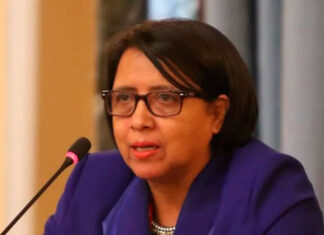 Defensora de los DDHH Dina Meza denuncia que Natalie Roque a boicoteado el Sistema de Protección.