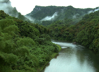 Biósfera del Río Plátano generará $13 millones en divisas con exportación de carbono