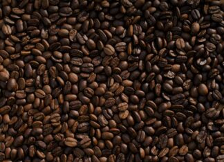 Buenos pronósticos: Exportación de café generará $ 1,000 millones en divisas