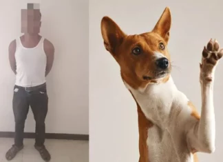 Meten preso a ciudadano de marcovia por comerse su perro por hambre.