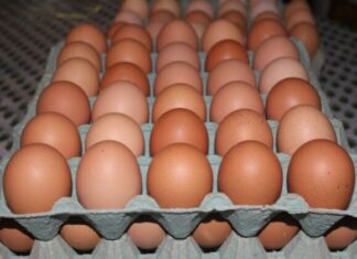 Codecoh: Congelamiento de precios navideño no se ha cumplido