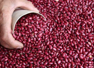 Adecabah: Falso congelamiento disparó precio del frijol