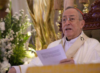 Cardenal Rodríguez: Hay algunos que sólo viven adorando al ídolo del poder