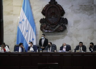 PINU lamenta injerencia del CN en nueva CSJ