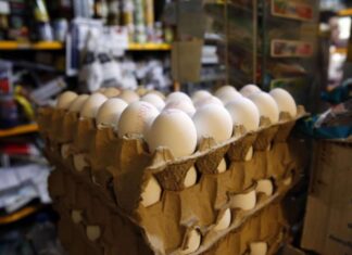 Ya paso la elección de la Corte!! Hondureños compran este fin de semana el cartón de huevos a 135 Lps.