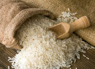 Aseguran que producción de arroz baja un 50%