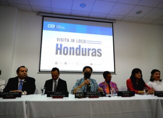 Solo 4 Organizaciones defensoras de los DDHH se han reunido con misión de la CIDH, el resto son oficialistas.