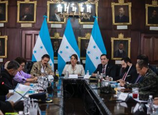 Presidenta Castro pide en CNDS procesar a los promotores y financistas de marchas en contra del gobierno en el sur.