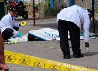 Fracaso en materia de Seguridad, otro fin de semana sangriento, más de 16 asesinatos en el país.