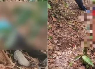 Masacres de día, toque de queda de noche.