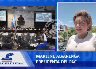 Los diputados «paracaidistas»no deben recibir salarios: Marlene Alvarenga