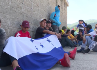 Impactante, profesionales en diferentes áreas encabezan caravanas de migrantes hondureños